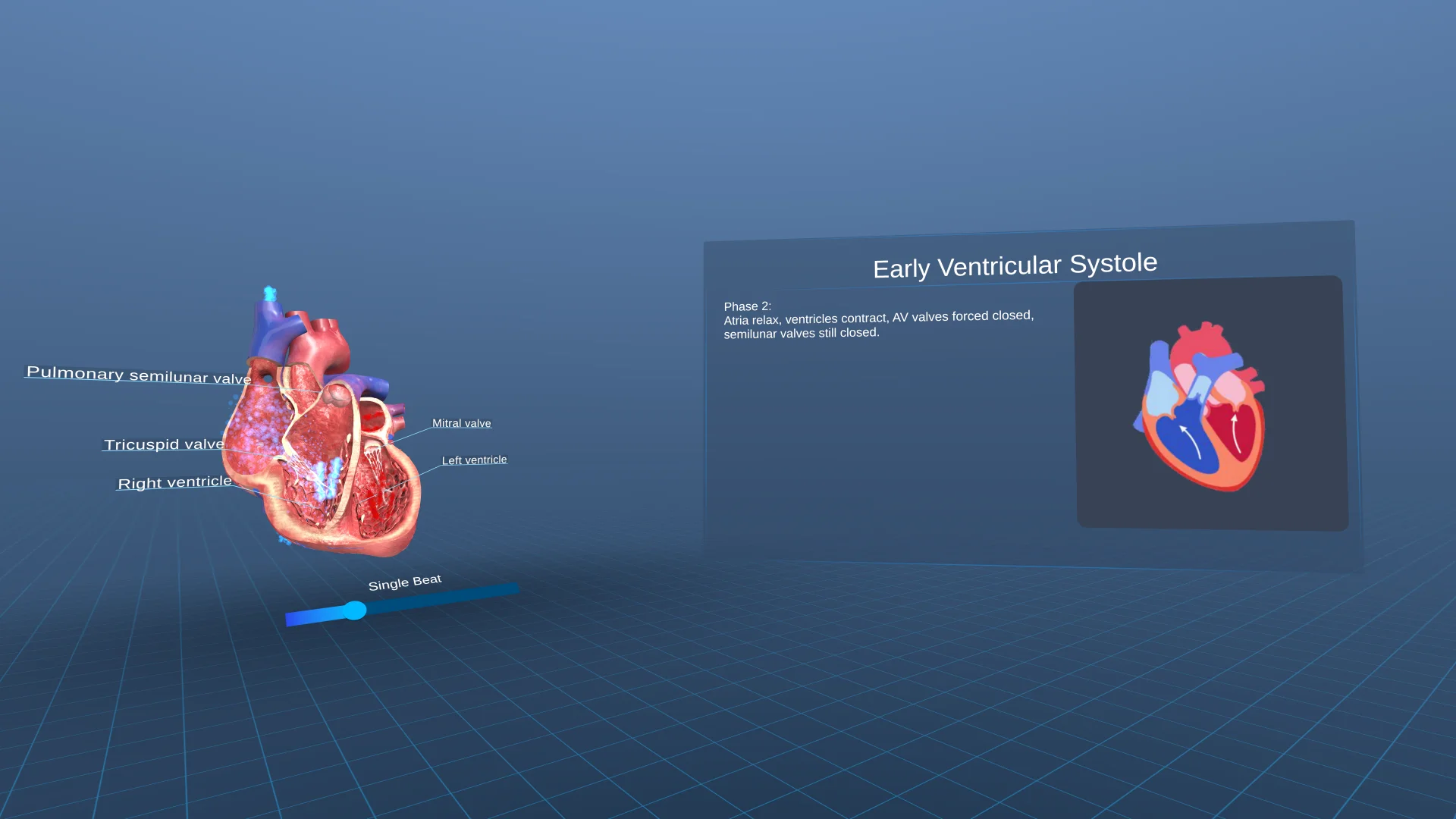 VR cardiac cycle simulation