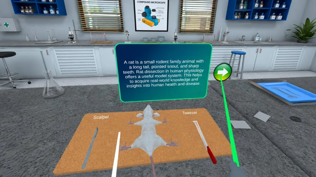 Opened rat thoracic cavity in VR revealing internal organs