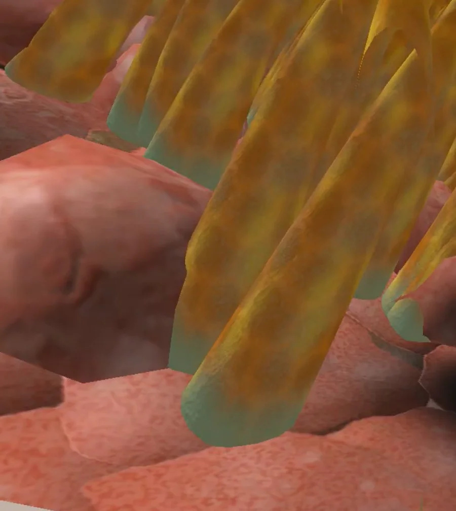 VR respiratory simulation - ciliated airway epithelium and goblet cell