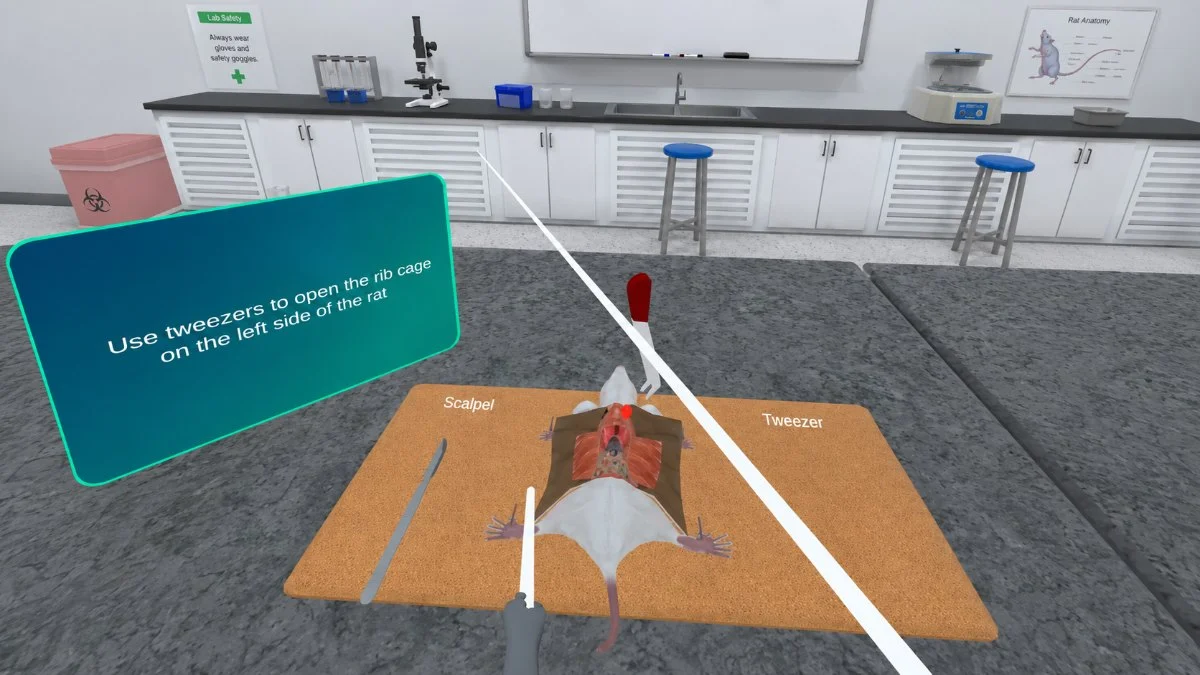 Virtual biology dissection module with labelled specimen and guided instructions